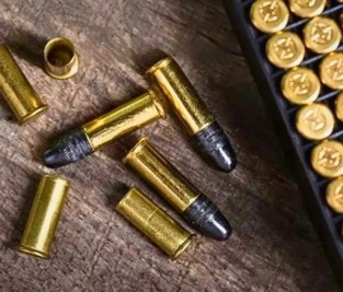 Image: Rimfire Ammo