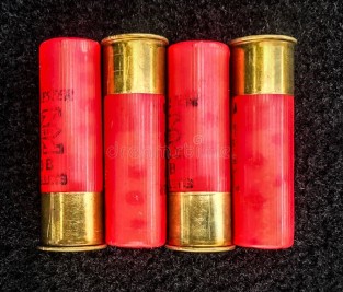 Image: Shotgun Shells